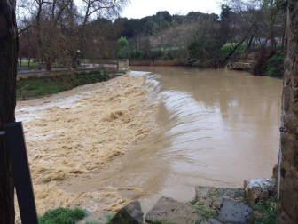Las intensas lluvias han hecho que aumente el cauce del río Arga a su paso por Pamplona y del Cidacos en Tafalla.