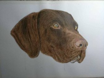 Imágenes enviadas por los lectores donde muestran cómo pasan el aislamiento en casa por el coronavirus.