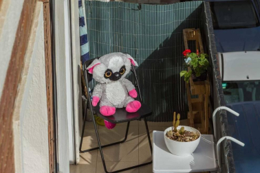 Imágenes enviadas por los lectores donde muestran cómo pasan el aislamiento en casa por el coronavirus.