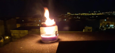 Imágenes enviadas por los lectores donde muestran cómo pasan el aislamiento en casa por el coronavirus.