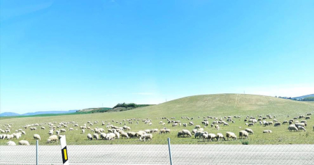 Fotos de la primavera enviadas por los lectores de diariodenavarra.es