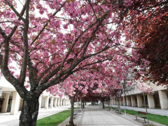 Fotos de la primavera enviadas por los lectores de diariodenavarra.es