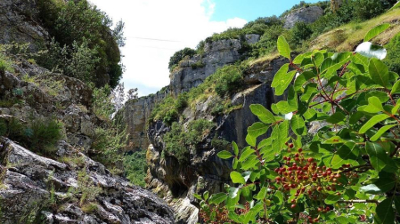 Fotos de la primavera enviadas por los lectores de diariodenavarra.es