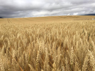 Fotos de la primavera enviadas por los lectores de diariodenavarra.es