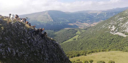 Fotos de la primavera enviadas por los lectores de diariodenavarra.es