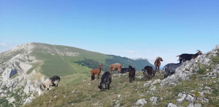 Fotos de la primavera enviadas por los lectores de diariodenavarra.es