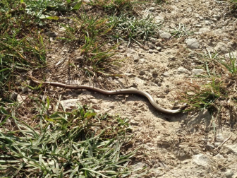 Fotos de la primavera enviadas por los lectores de diariodenavarra.es