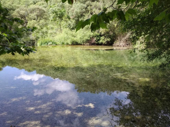 Fotos de la primavera enviadas por los lectores de diariodenavarra.es