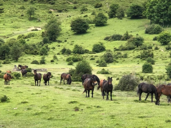 Fotos de la primavera enviadas por los lectores de diariodenavarra.es