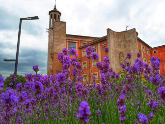 Fotos de la primavera enviadas por los lectores de diariodenavarra.es