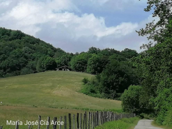 Fotos de la primavera enviadas por los lectores de diariodenavarra.es