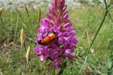 Fotos de la primavera enviadas por los lectores de diariodenavarra.es