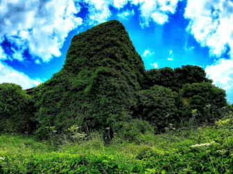 Fotos de la primavera enviadas por los lectores de diariodenavarra.es