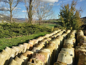 Fotos de la primavera enviadas por los lectores de diariodenavarra.es