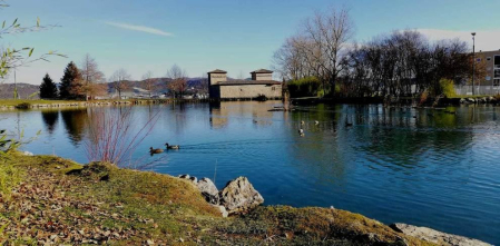 Fotos de la primavera enviadas por los lectores de diariodenavarra.es