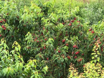 Fotos de la primavera enviadas por los lectores de diariodenavarra.es