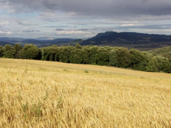 Fotos de la primavera enviadas por los lectores de diariodenavarra.es