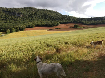 Fotos de la primavera enviadas por los lectores de diariodenavarra.es