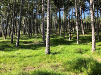Fotos de la primavera enviadas por los lectores de diariodenavarra.es