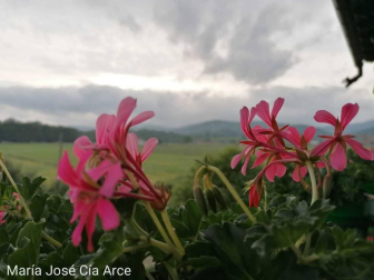 Fotos de la primavera enviadas por los lectores de diariodenavarra.es