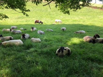 Fotos de la primavera enviadas por los lectores de diariodenavarra.es