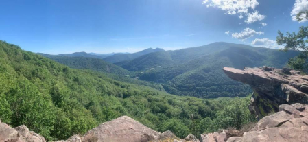 Fotos de la primavera enviadas por los lectores de diariodenavarra.es