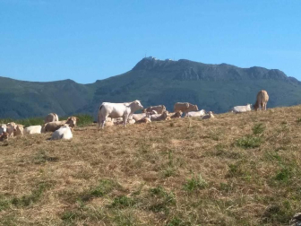 Fotos de la primavera enviadas por los lectores de diariodenavarra.es