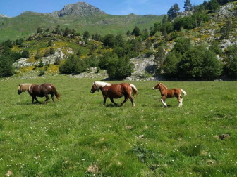 Fotos de la primavera enviadas por los lectores de diariodenavarra.es