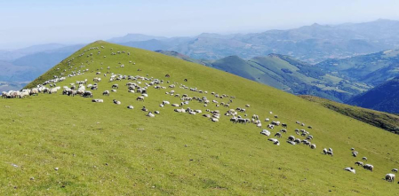 Fotos de la primavera enviadas por los lectores de diariodenavarra.es
