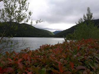 Fotos de la primavera enviadas por los lectores de diariodenavarra.es