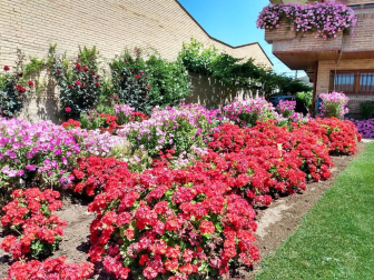 Fotos de la primavera enviadas por los lectores de diariodenavarra.es