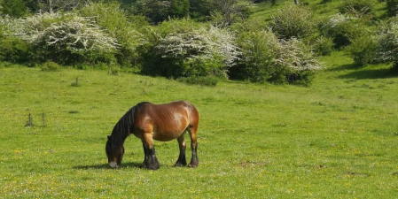 Fotos de la primavera enviadas por los lectores de diariodenavarra.es