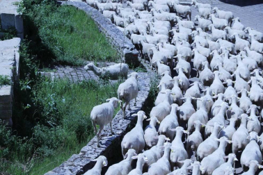 Fotos de la primavera enviadas por los lectores de diariodenavarra.es