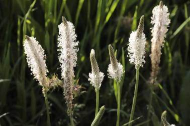Fotos de la primavera enviadas por los lectores de diariodenavarra.es