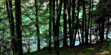 Fotos de la primavera enviadas por los lectores de diariodenavarra.es