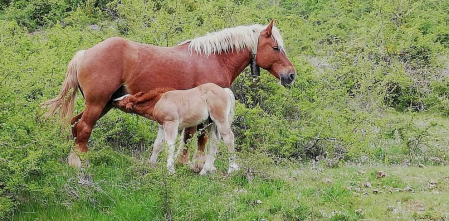 Fotos de la primavera enviadas por los lectores de diariodenavarra.es