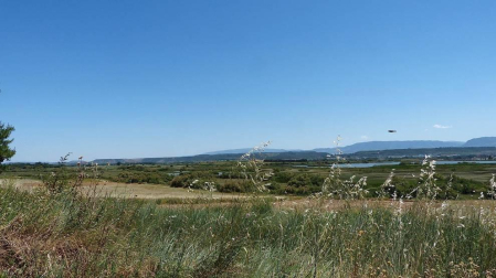 Fotos de la primavera enviadas por los lectores de diariodenavarra.es