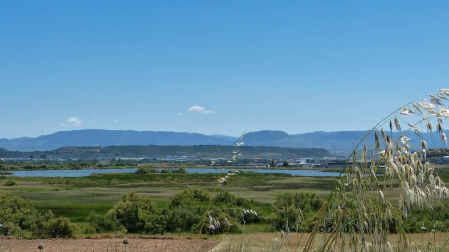 Fotos de la primavera enviadas por los lectores de diariodenavarra.es