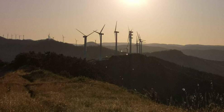 Fotos de la primavera enviadas por los lectores de diariodenavarra.es
