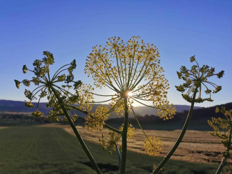 Fotos de la primavera enviadas por los lectores de diariodenavarra.es