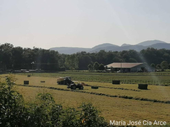 Fotos de la primavera enviadas por los lectores de diariodenavarra.es