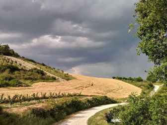Fotos de la primavera enviadas por los lectores de diariodenavarra.es