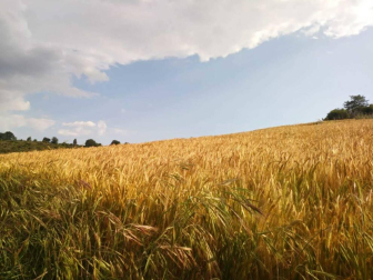 Fotos de la primavera enviadas por los lectores de diariodenavarra.es