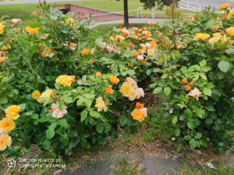 Fotos de la primavera enviadas por los lectores de diariodenavarra.es