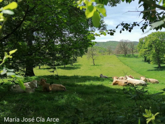 Fotos de la primavera enviadas por los lectores de diariodenavarra.es