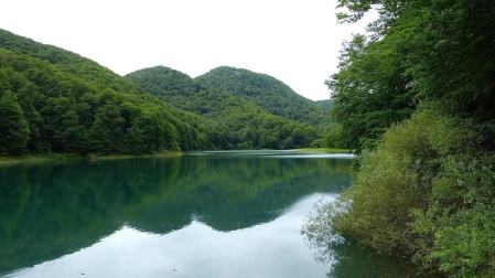Fotos de la primavera enviadas por los lectores de diariodenavarra.es