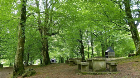Fotos de la primavera enviadas por los lectores de diariodenavarra.es