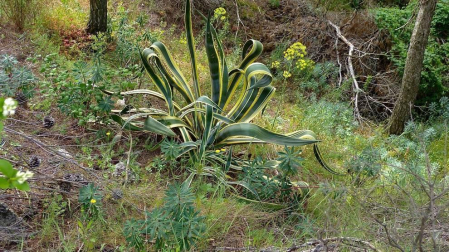 Fotos de la primavera enviadas por los lectores de diariodenavarra.es