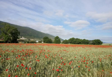 Fotos de la primavera enviadas por los lectores de diariodenavarra.es
