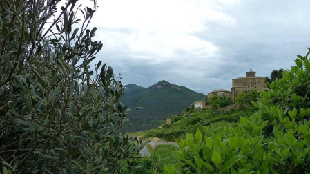 Fotos de la primavera enviadas por los lectores de diariodenavarra.es